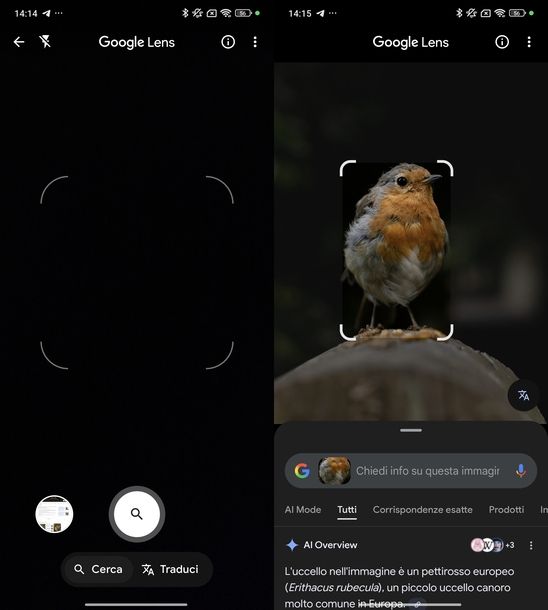 Cercare foto su Google dal cellulare Google Lens