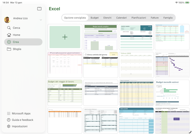 Usare Excel su iPad