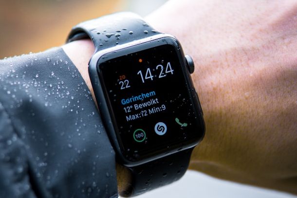 Apple Watch al polso