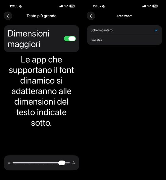 Ingrandire caratteri iPhone