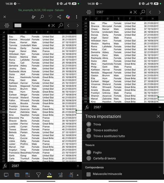 Cercare su file Excel Android