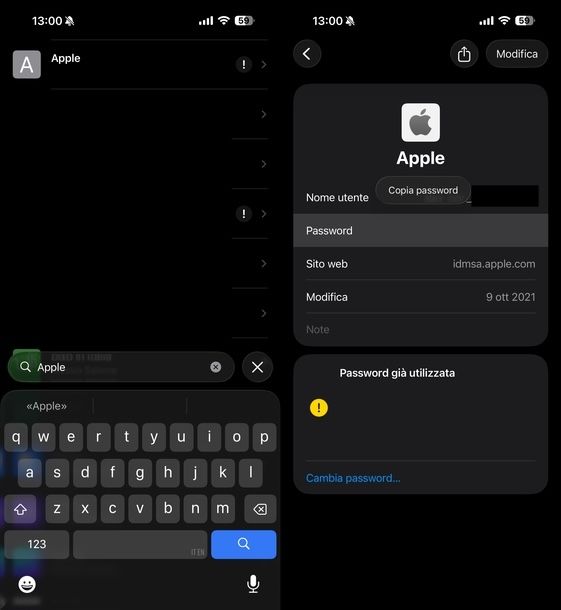 Scoprire password iCloud iOS