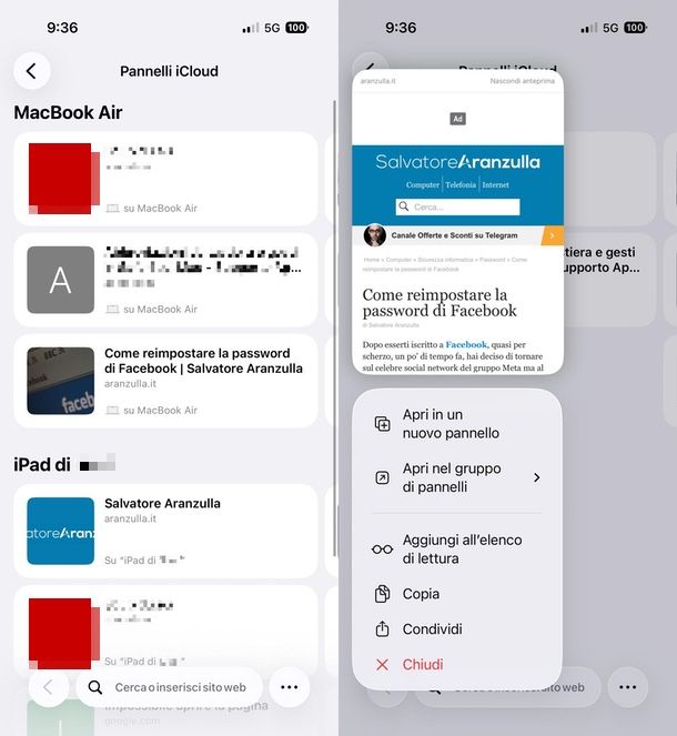 chiudere pannelli Safari iCloud