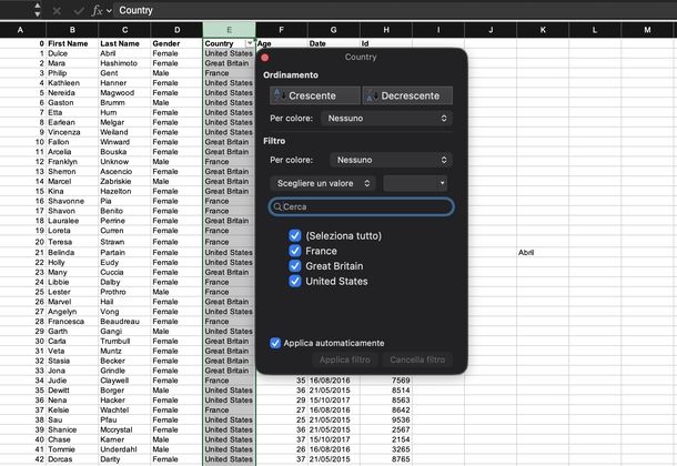 Filtrare per vedere solo righe con quel nome Excel