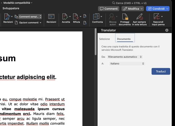 Tradurre testo su Word