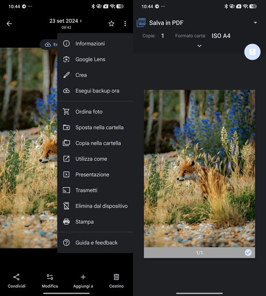 Convertire JPG in PDF gratis Android