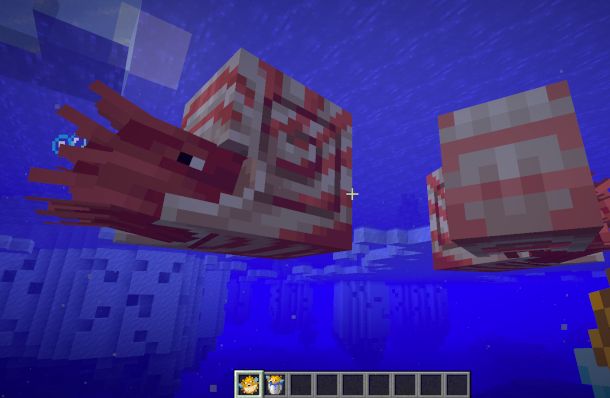 esemplari di nautilus Minecraft
