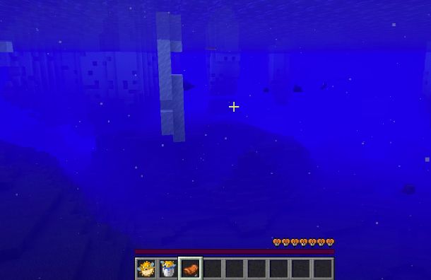 modalit&agrave; navigazione in sella al nautilus