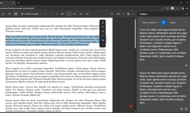 Tradurre testo PDF Microsoft Edge