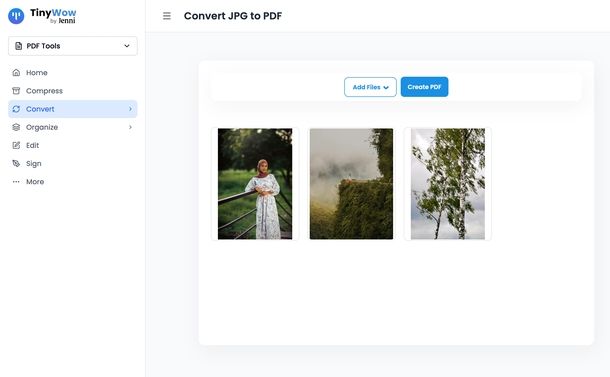 Convertire JPG in PDF TinyWow