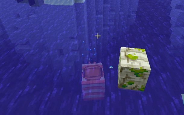 nautilus normale e zombie