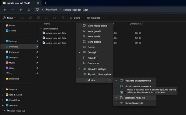 Cambiare estensione file Windows