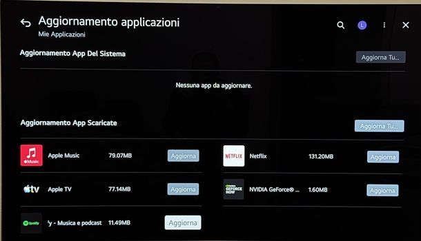 Aggiornare RaiPlay Smart TV LG