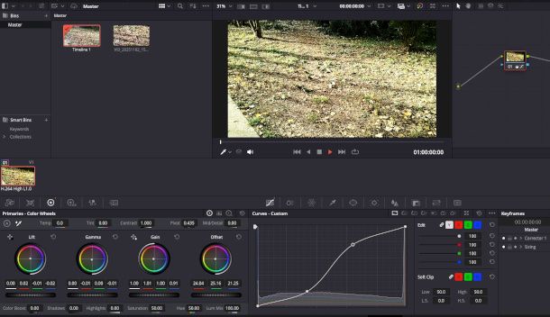 sezione Color DaVinci Resolve 21
