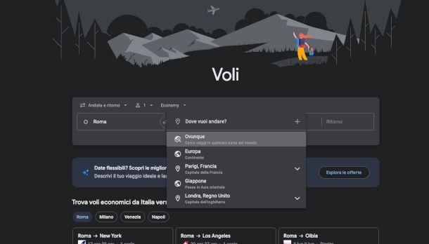 home page sito Google Voli