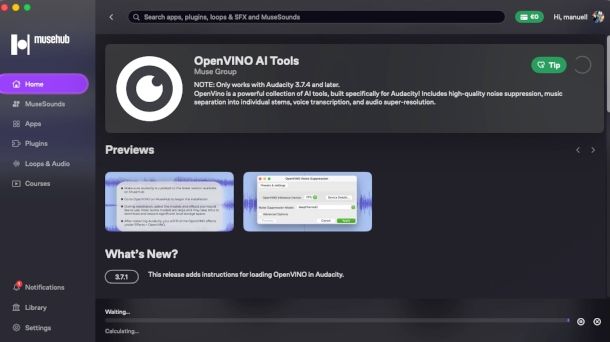 installazione OpenVINO da MuseHub