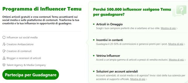 influencer temu