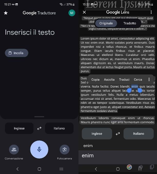 google traduttore
