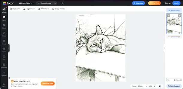 Foto foto in disegno