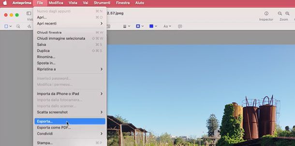 Esporta in PDF con Anteprima