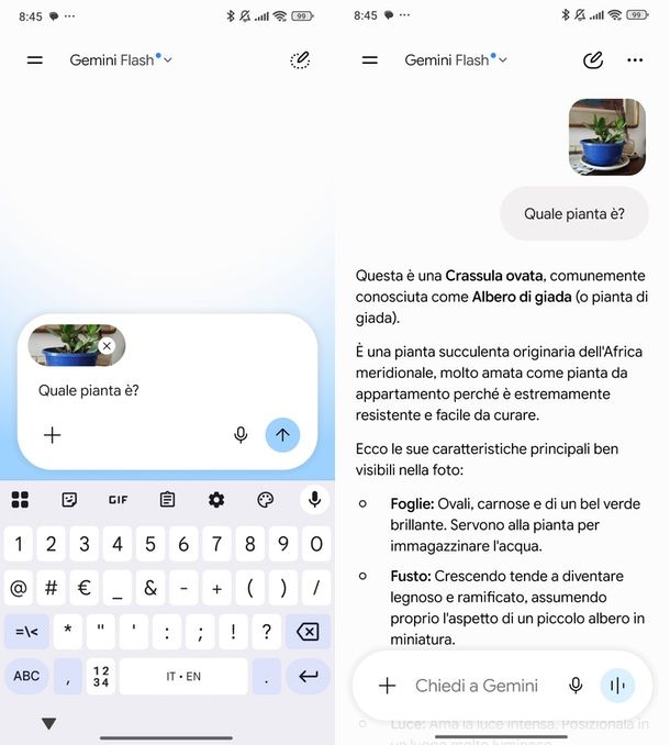 Gemini riconoscimento piante