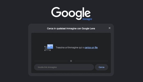 schermata Google Immagini