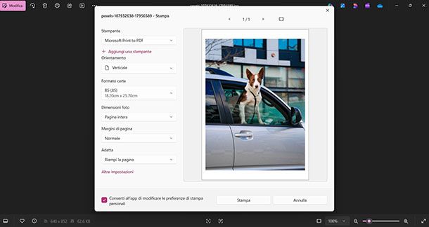 Foto PDF Windows