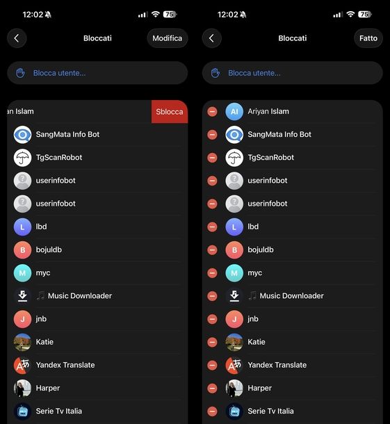 Togliere blocco utente Telegram iOS