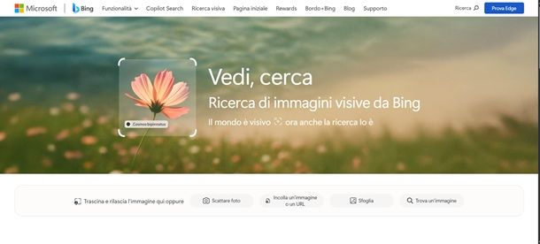 bing visual search