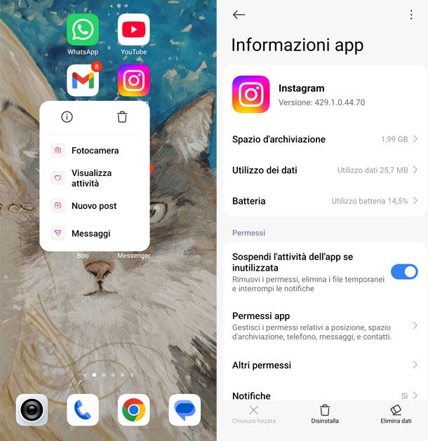 Svuota la cache di Instagram