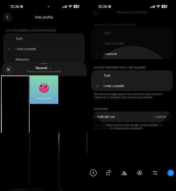 Impostare foto profilo pubblica Telegram iOS