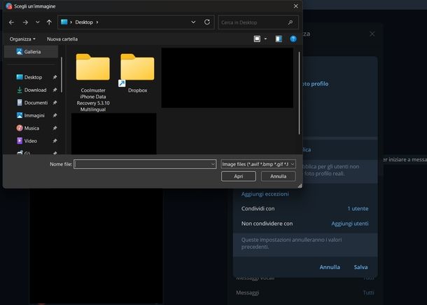 Impostare foto profilo pubblica Telegram Windows
