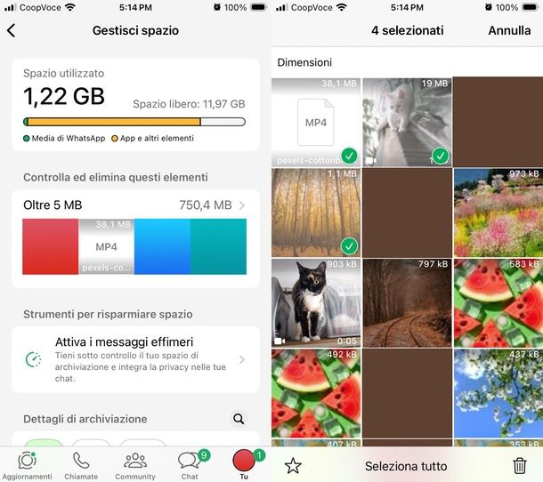 svuotare cestino nascosto WhatsApp iPhone