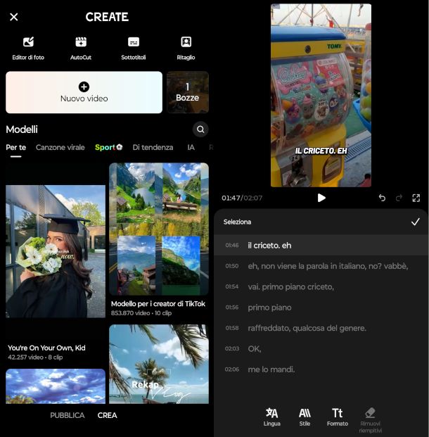 inserimento sottotitoli video TikTok