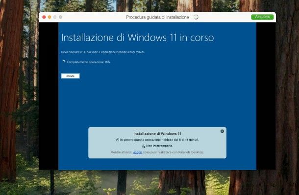 windows 11 parallels