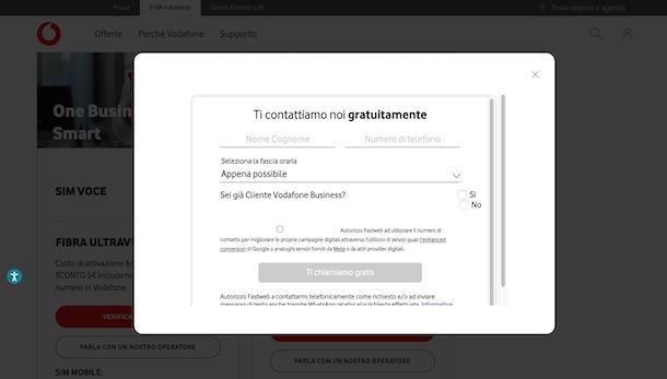 Vodafone Business