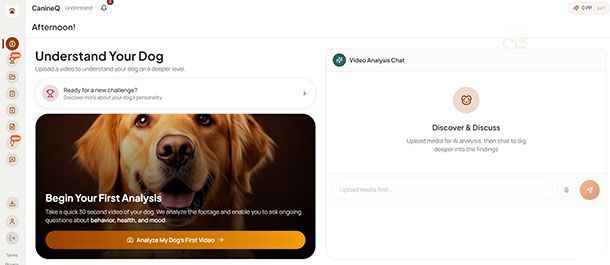 CanineQ