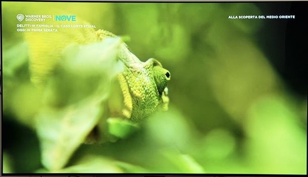 Vedere canale 9 su Fire TV Stick