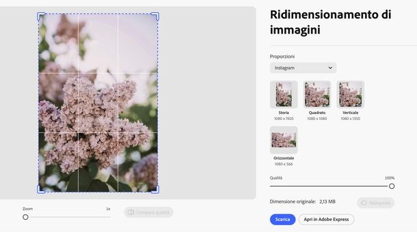 Adobe Express online ridimensionare per Instagram