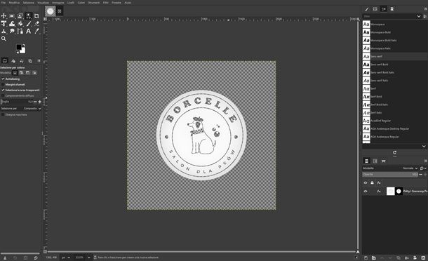 Come vettorializzare un logo