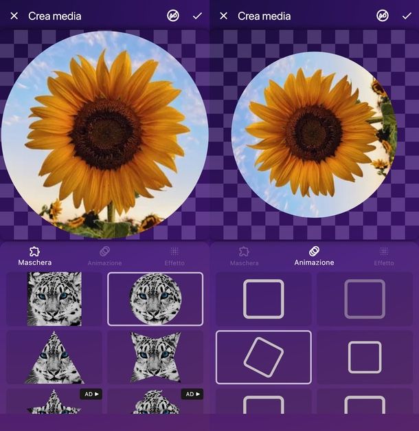 app per creare sticker animati da foto e video