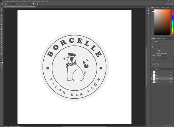 Come vettorializzare un logo