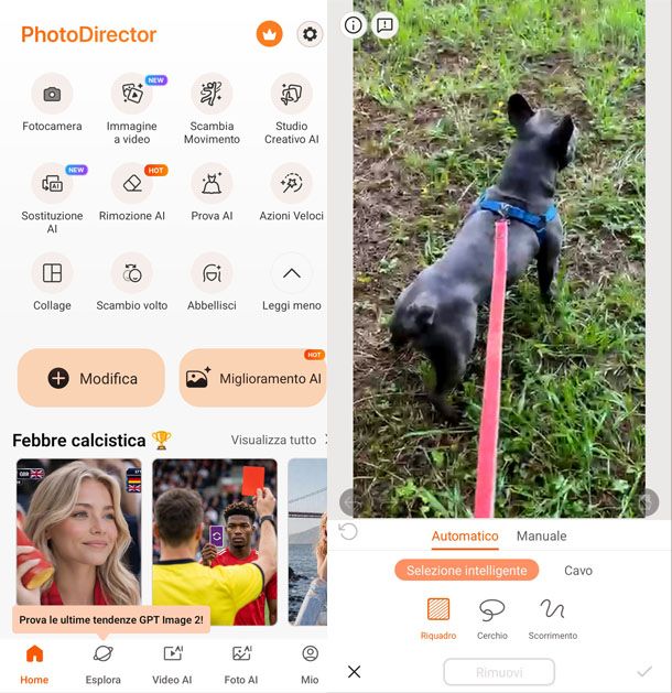 Photodirector