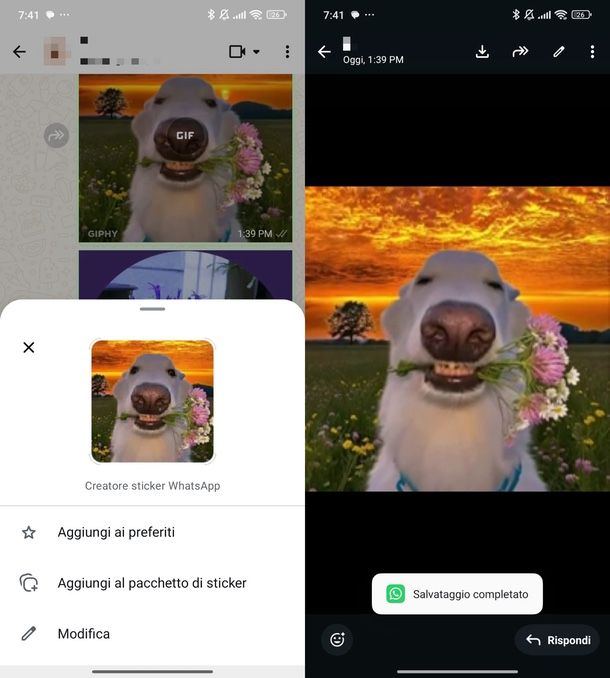 salvare GIF WhatsApp Android