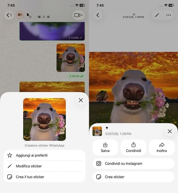 Salvare GIF WhatsApp iPhone