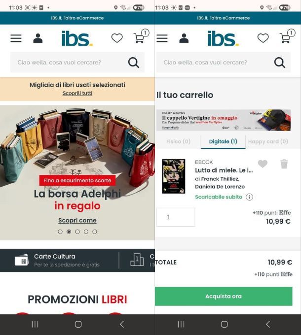 eBook IBS