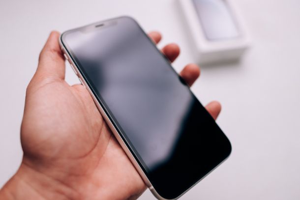 iPhone