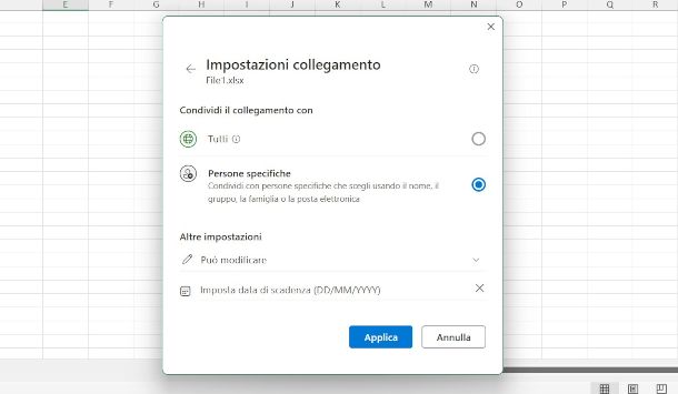finestra per la condivisione in modalità collaborativa del file Excel su Windows
