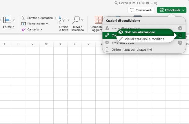 invio file Excel in modlaità lettura su Mac