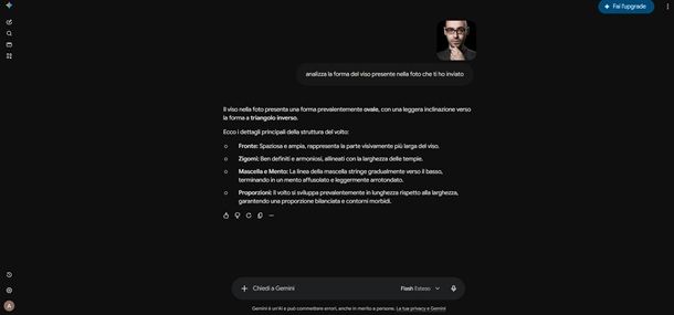 analisi volto gemini
